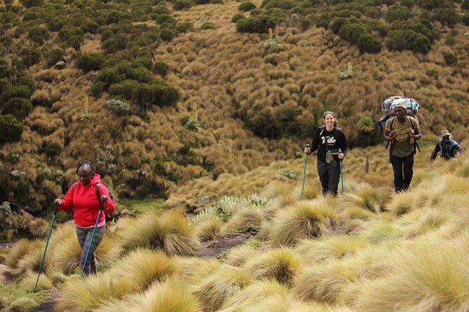 4-Day Mount Kenya Trekking With Pick up - Itinerary Overview