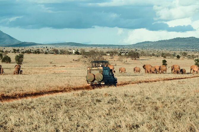4-Day Safari Adventure in Tanzania