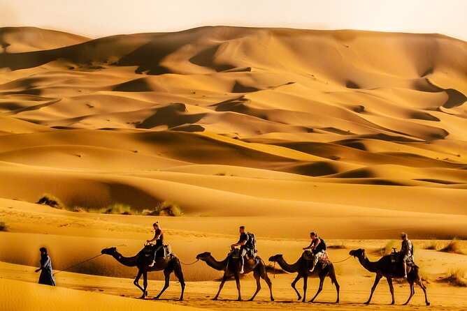 4 Day Sahara Desert VIP Private Tour From Marrakech & Luxuy Camp - Itinerary Highlights