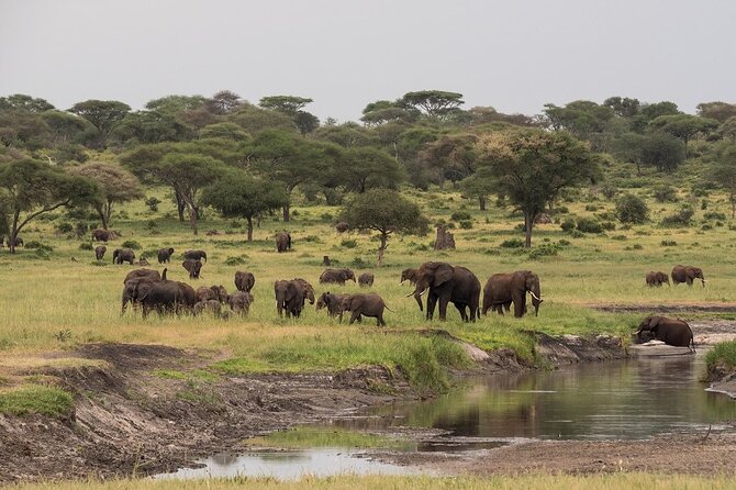 4-Day Serengeti, Ngorongoro, & Lake Manyara Budget Tour - Tour Itinerary