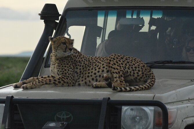 4-Day Small-Group Tour of Tanzania - Tour Overview