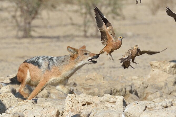 4 Days 3 Nights Safari- Tarangire, Serengeti and Ngorongoro Crater - Itinerary Overview