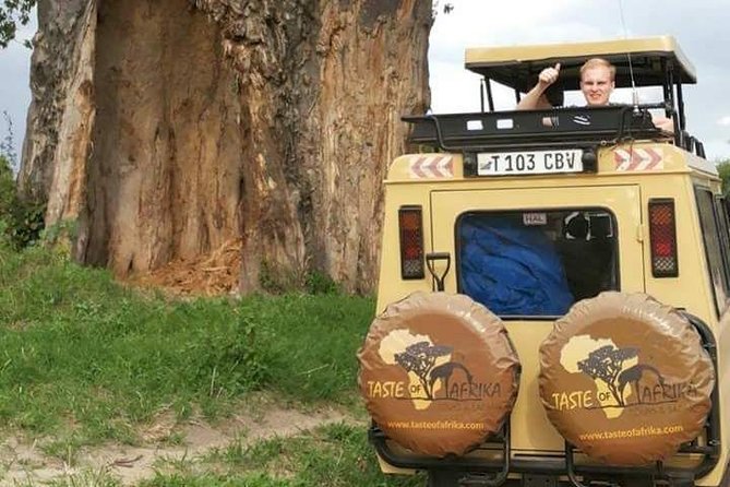 4 Days Affordable Tanzania Budget Safari - Safari Itinerary Highlights