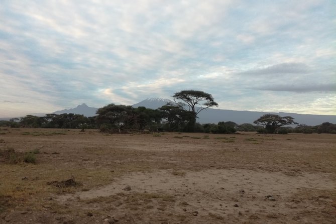 4 Days Amboseli & Tsavo West Wildlife Safari