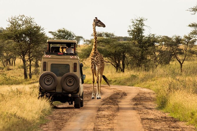 4 Days Awesome Luxury Safari Tarangire Serengeti & Ngorongoro - Itinerary Highlights