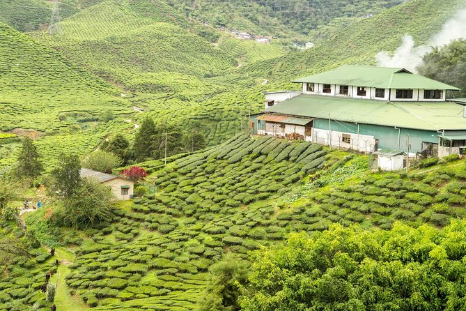 4 Days Best of Kerala Tour With Private Houseboat, Sightseeing & Car - Itinerary Overview