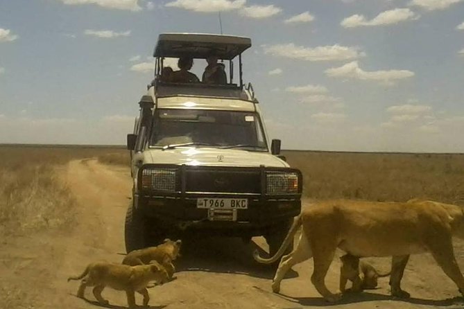 4 Days Camping Safaris - Safari Itinerary Details