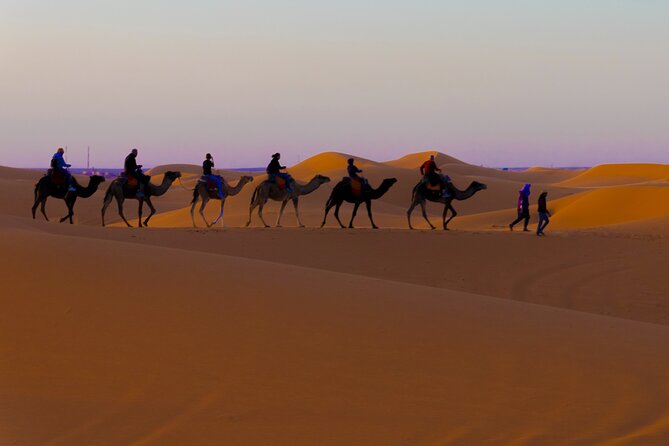 4 Days Desert Safari Tour From Marrakech to Merzouga - Tour Highlights