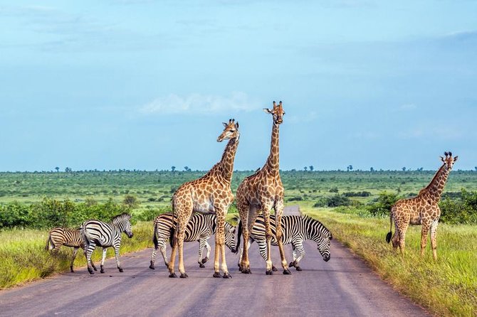 4 Days Etosha National Park and Swakopmund Lodging