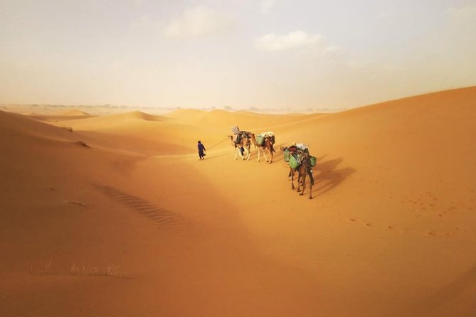 4 Days Hiking To Desert - Trip Duration and Location