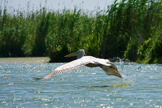 4 Days in the Heart of Danube Delta