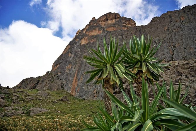 4 Days Lalibela Eco Community Based Trekking Tour With Meals