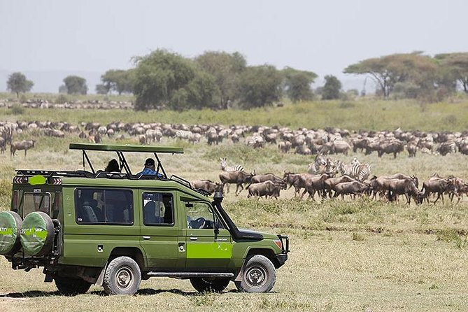 4 Days Masai Mara and Lake Nakuru Luxury Safari on 4x4 Jeep - Itinerary Details