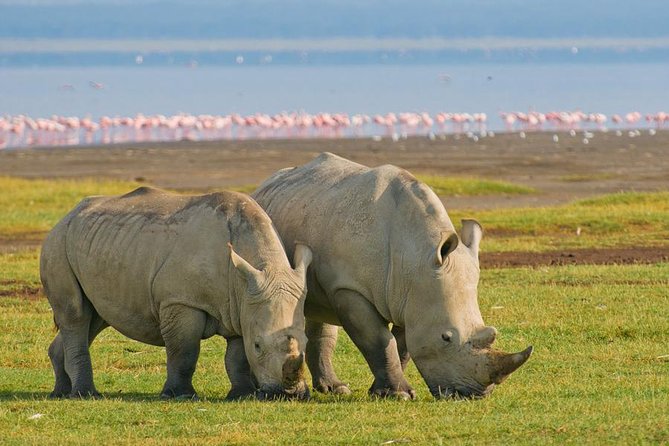 4 Days Masai Mara Lake Nakuru Jeep Safari - Itinerary Highlights