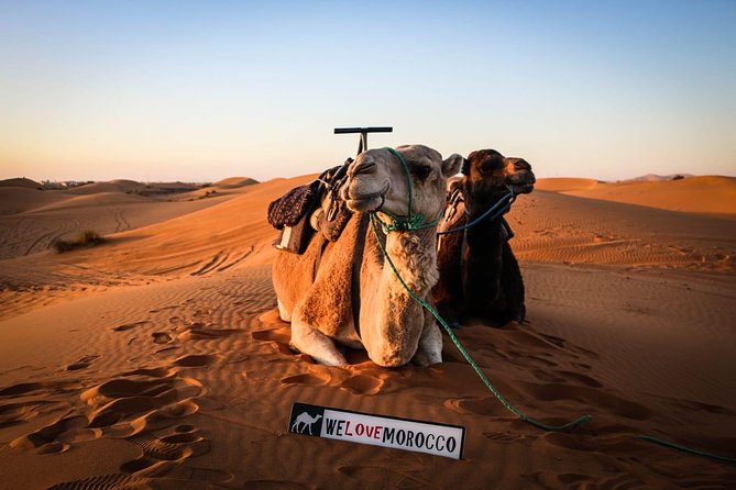 4 Days Private Desert Tour From Agadir And Return