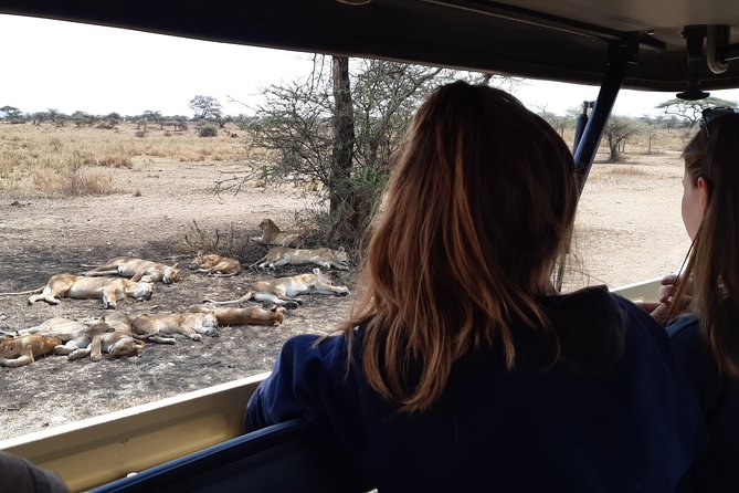 4-Days Private Midrange, Tarangire Ngorongoro, Manyara & Materuni - Tour Highlights