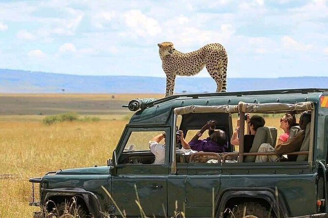 4 Days Private Safaris in Tarangire, Ngorongoro and Serengeti .