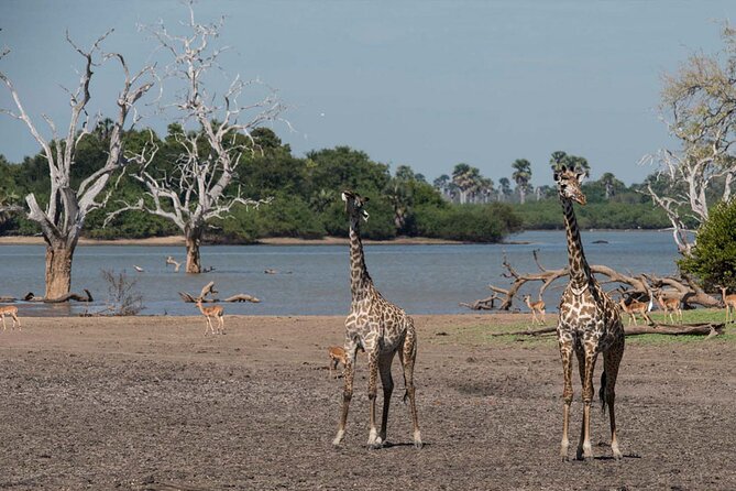4-Days Private Tour in Nyerere National Park-Selous Game Reserve - Pricing Information and Variations