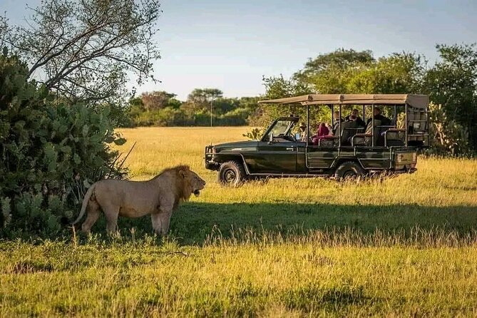 4 Days Safari to Tarangire Sererngeti and Ngorongoro From Arusha