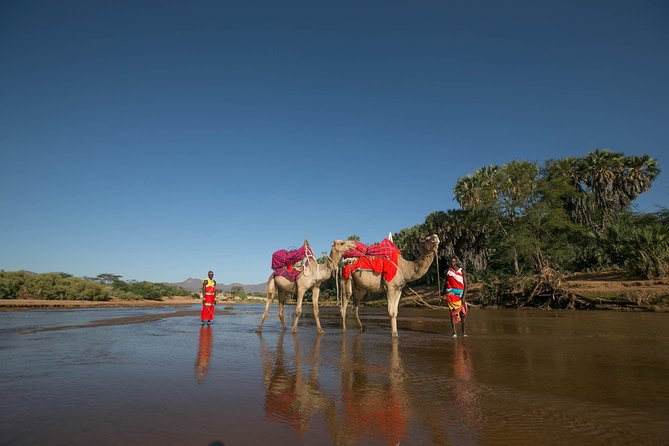 4 Days - Samburu & Aberdares National Park Safari - Pickup Details