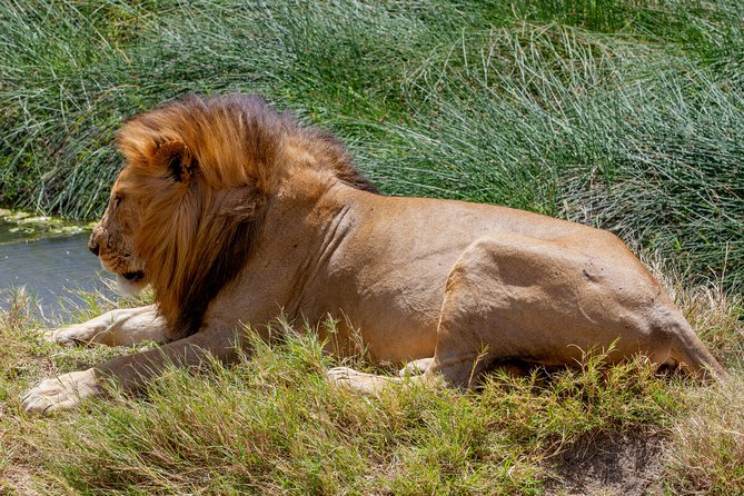 4 Days Tarangire , Ngorongoro ,Manyara and Lake Eyasi Village - Highlights