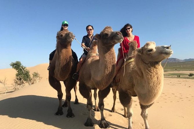9 Best 4 Day Tours In Ulaanbaatar