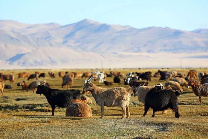 4 Days Tour: Central Mongolia
