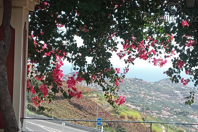 4 Days Tour Discovering Madeira - Tour Overview