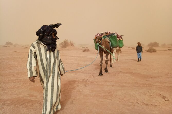 4 Days Trek - the Legs of Camels - Trek Itinerary Overview