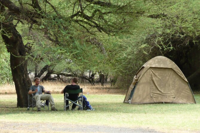 4 Days Wildlife Safari and Cultural Experience in Tanzania - Meeting and Pickup