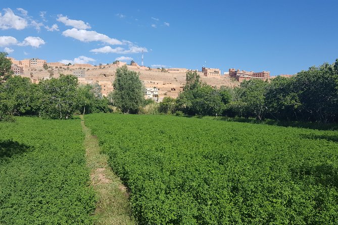 4D / 3N Desert Tours From Casablanca Return
