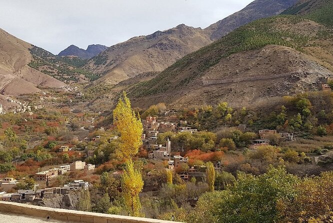 4×4 Agafay Desert & Atlas Mountains Day Trip From Marrakech : off Beaten Track - Booking Information