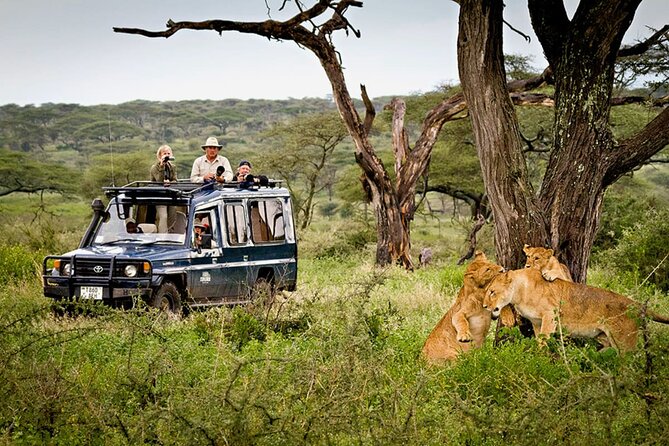 5 Day Private Guided Wildebeest Migration Tour