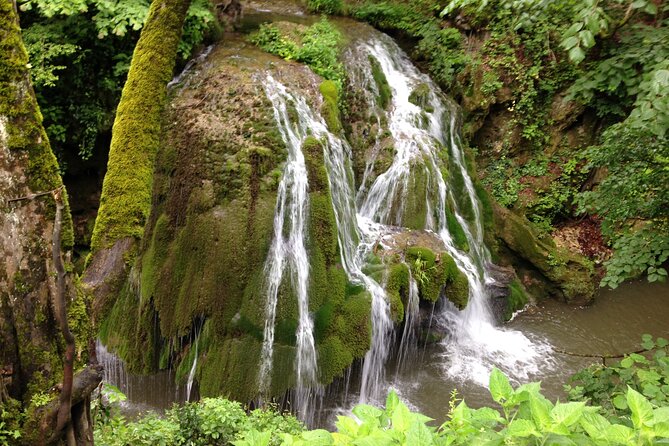 5-Day Private Tour Bucharest, Wallachia and Transylvania - Accommodation and Dining