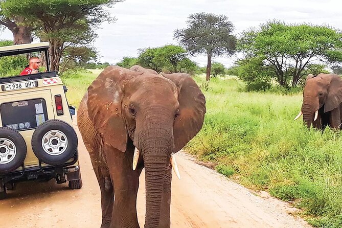 5 Day Tanzania Safari Camping Adventure Private Tour - Tour Highlights