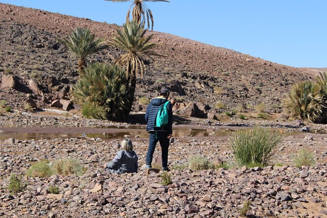 5-Day Trek - in the Draa Valley - Customer Reviews