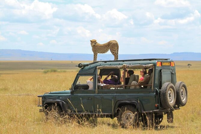 5 Day Wildlife and Gorilla Safari in Africa