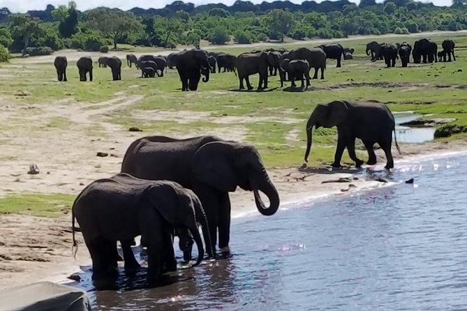 5 Days 4 Nights Budget Adventure Safari In Victoria Falls & Chobe National Park