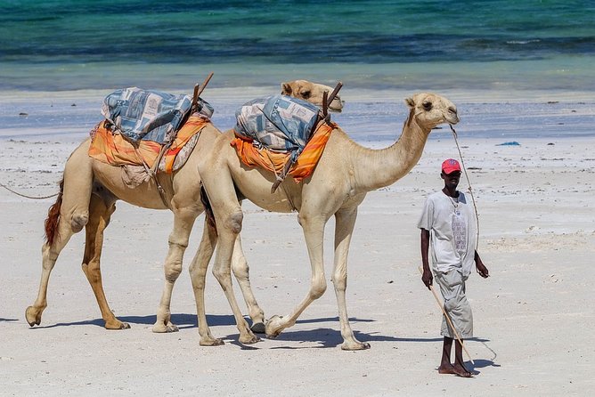 5 Days 4 Nights Budgeted Malindi Adventure - Trip Details