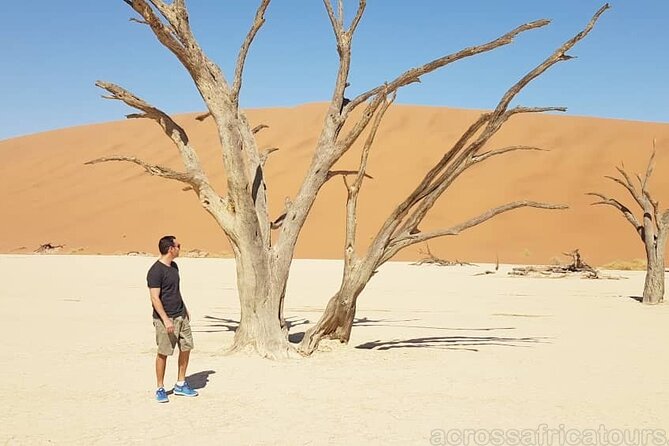 5 Days / 4 Nights Namibian Adventure ( Comfort)
