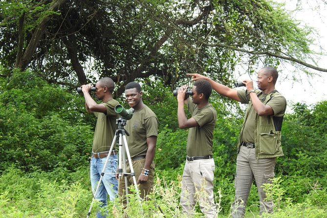 5 Days Amplified Luxury Safari in Tanzania 2021 - Itinerary Highlights