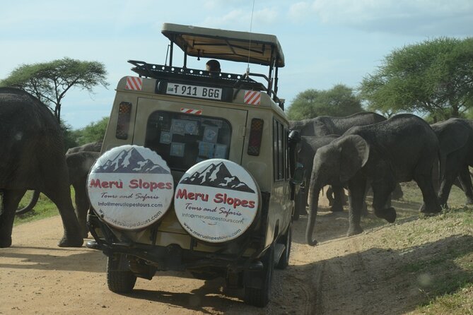 5 Days Best of Northern Circuit Budget Safari in Tanzania - Wildlife Viewing Highlights