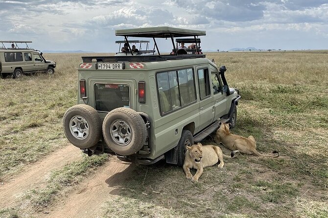 5 Days Budget Joining Adventure Camping Safari
