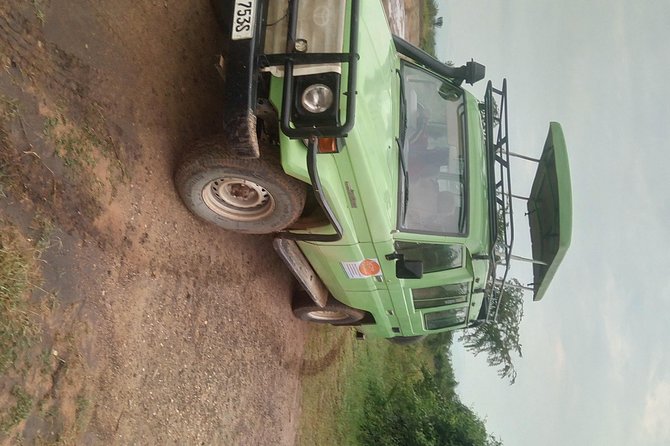 5-Days Bwindi NP & Kibale NP Tour in Uganda