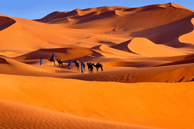 5 Days ( Desert Sahara Tour and Mount Toubkal Trek From Marrakech ) - Tour Itinerary