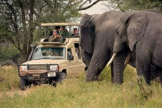 5 Days Excellent Wildlife Safari in Serengeti and Ngorongoro Crater, Tanzania - Safari Itinerary