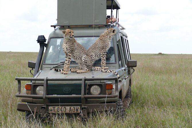 5 Days in to the Heart of Serengeti - Itinerary Highlights