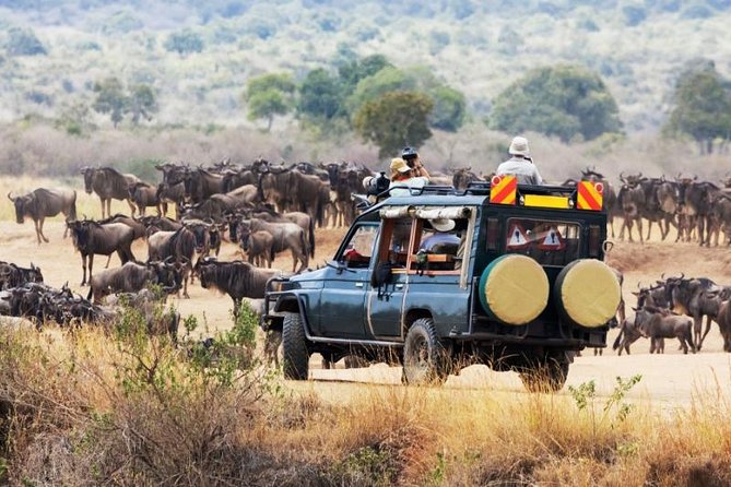 5 Days Kenya Lodge Safari Masai Mara Game Reserve - Lodge Accommodations