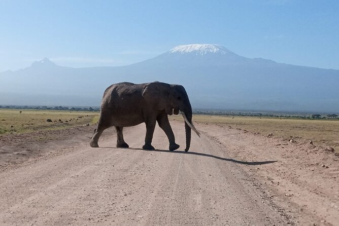 5 Days Lake Naivasha, Lake Nakuru, & Masai Mara - Itinerary Highlights