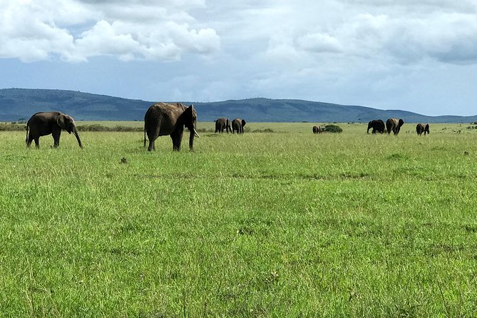 5 Days Mara, Nakuru, Sweetwaters - Itinerary Overview